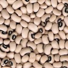 CHORA (WHITE BEAN)